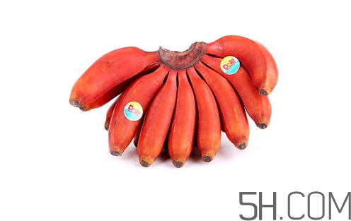 紅香蕉和普通香蕉的區(qū)別？香蕉可以放冰箱冷凍嗎？