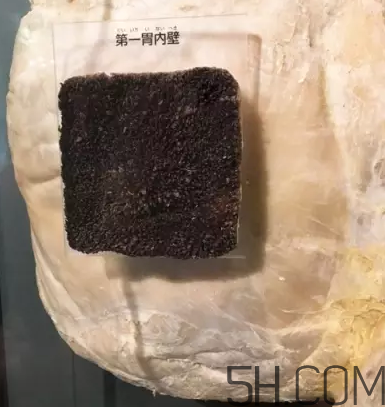牛百葉和毛肚是一個東西嗎？牛百葉上面有層黑皮能吃嗎？