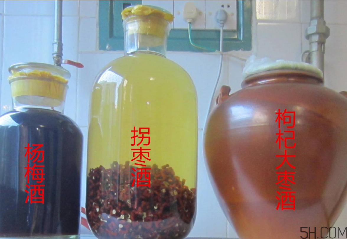 拐棗能泡酒嗎？拐棗能和蜂糖一起泡酒嗎？