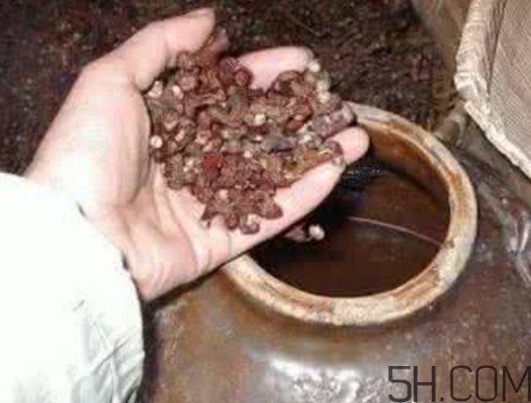 拐棗能泡酒嗎？拐棗能和蜂糖一起泡酒嗎？