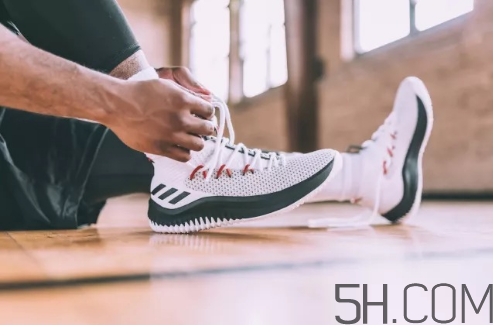 adidas dame 4多少錢？阿迪達(dá)斯利拉德四代上腳效果