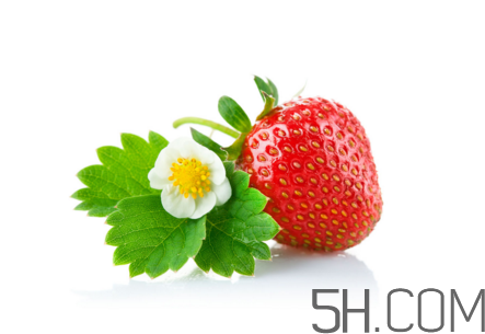 吃了發(fā)霉的草莓怎么辦？怎樣挑選草莓？