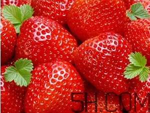 草莓都有哪些熱門品種？草莓怎么放不容易壞？
