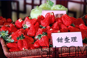 草莓都有哪些熱門品種？草莓怎么放不容易壞？