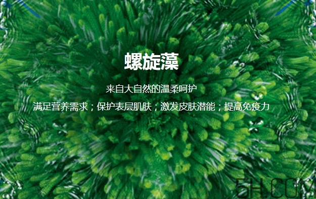 lantern蘭亭是什么牌子？蘭亭是哪個(gè)國(guó)家的什么檔次