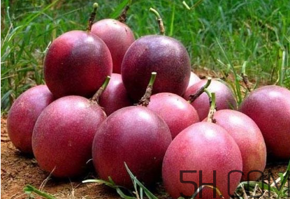 百香果幾月份的最好吃？百香果一次可以吃幾個(gè)？