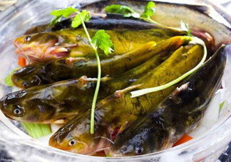 黃骨魚是發(fā)物嗎？黃骨魚是什么魚？