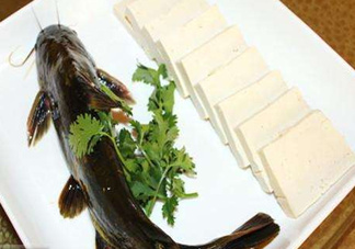 黃骨魚有刺嗎？黃骨魚有毒嗎？