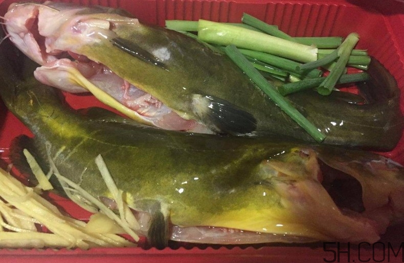 黃骨魚湯下奶嗎？黃骨魚湯的做法 