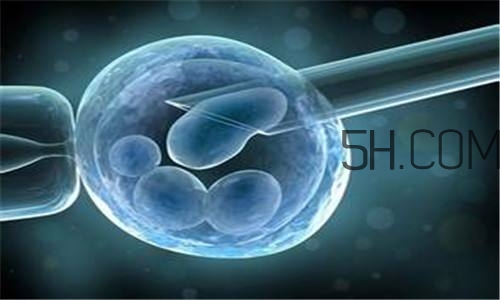 人工授精取卵子怎么?。咳斯な诰腥嗽鯓尤【?？