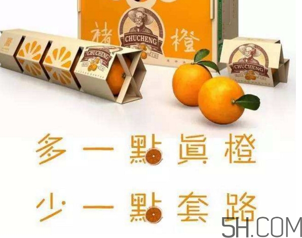 褚橙真的那么好吃嗎？褚橙哪里可以買到