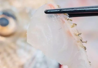 鯛魚怎么做？鯛魚是海魚還是淡水魚