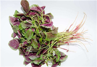 莧菜是酸性還是堿性？吃莧菜有什么好處？