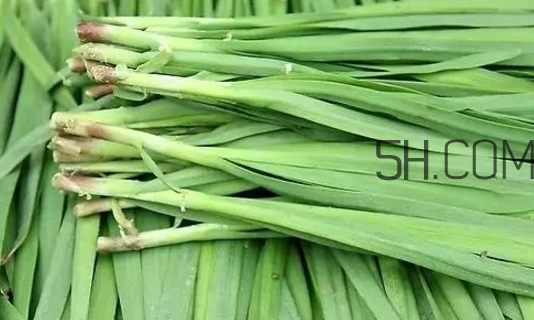 生蠔和韭菜一起吃有什么好處？吃韭菜的好處