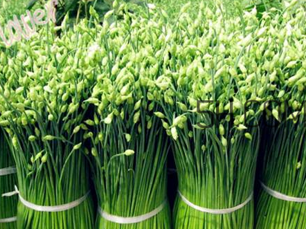 來月經(jīng)可以吃韭菜嗎？韭菜花的腌制方法
