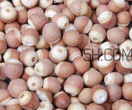 芡實(shí)是中藥嗎？芡實(shí)哪里可以買到