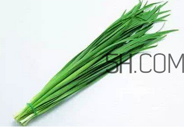 立秋后可以種韭菜嗎？怎樣種韭菜？