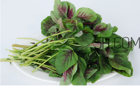莧菜為什么是紅的？莧菜是涼性的嗎？