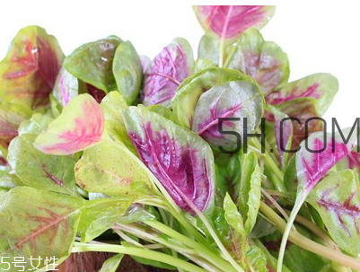 上火能吃咸莧菜嗎？寶寶能吃莧菜嗎？