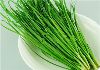 立秋后可以種韭菜嗎？怎樣種韭菜？