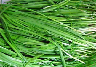 秋天吃韭菜好嗎？韭菜和莧菜能一起吃嗎？