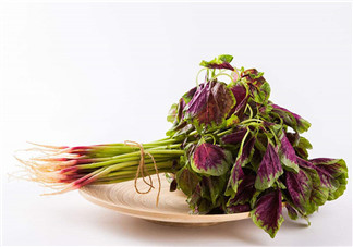 莧菜為什么是紅的？莧菜是涼性的嗎？