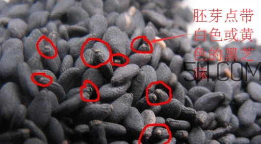 黑芝麻清洗掉色正常嗎？黑芝麻有黑色素嗎？
