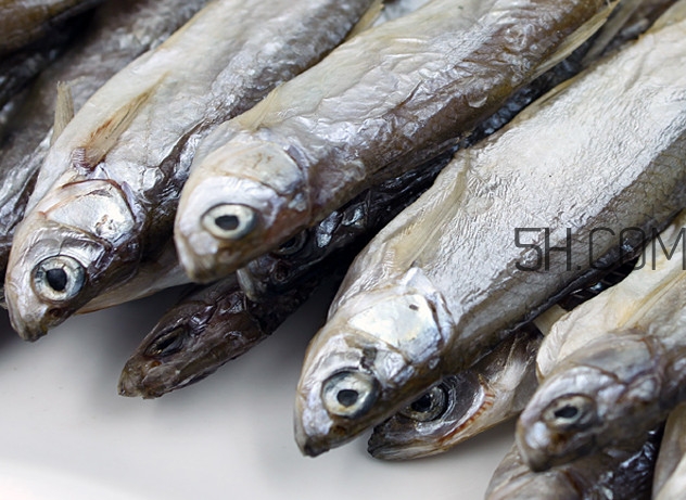 刁子魚是淡水魚嗎？刁子魚怎么釣