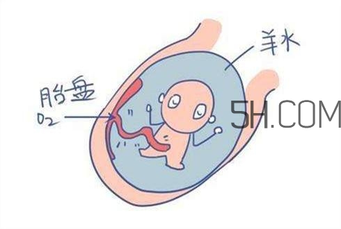 怎么防止羊水早破？羊水早破的危害