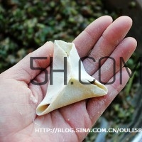 餃子和面用熱水還是冷水？餃子和面要醒多長(zhǎng)時(shí)間？