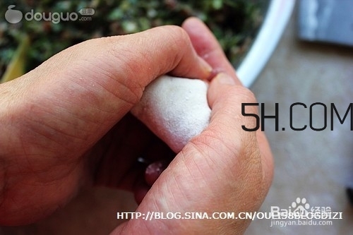 怎么包餃子快又好看？十種家常包餃子的方法~