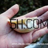 怎么包餃子快又好看？十種家常包餃子的方法~