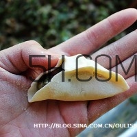 餃子和面用熱水還是冷水？餃子和面要醒多長(zhǎng)時(shí)間？