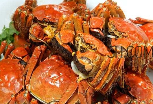 孕婦吃螃蟹多久流產(chǎn)？孕婦吃多少螃蟹會(huì)流產(chǎn)？