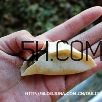 怎么包餃子快又好看？十種家常包餃子的方法~