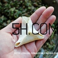 怎么包餃子快又好看？十種家常包餃子的方法~