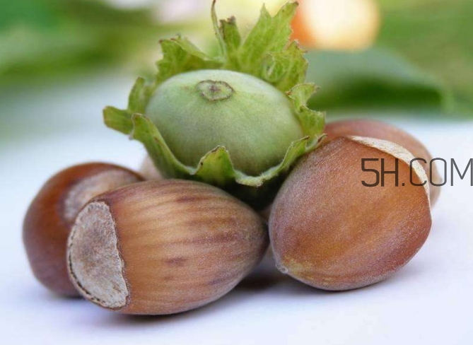 榛子生吃好還是熟吃好？榛子怎么吃營養(yǎng)價值高？