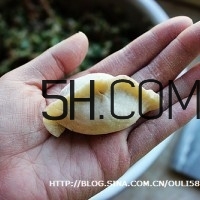 怎么包餃子快又好看？十種家常包餃子的方法~