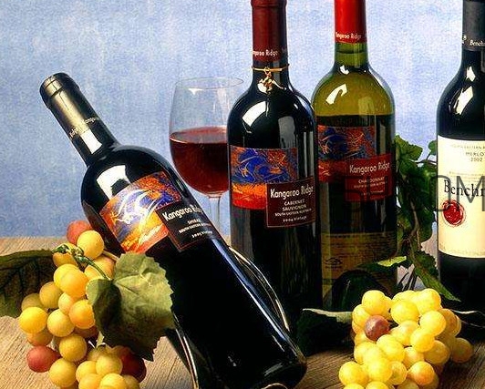 小孩能不能喝葡萄酒？高血糖能不能喝葡萄酒
