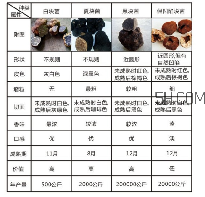 松露怎么分辨真假？松露怎么清洗