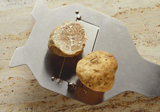 白松露一公斤多少錢？白松露到底有多貴有多好呢