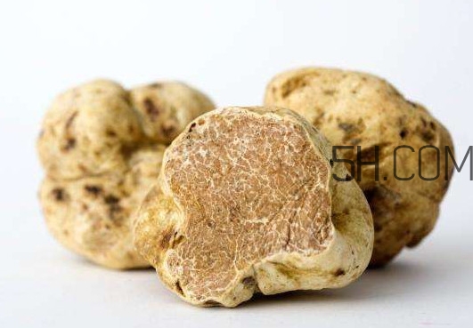 松露怎么分辨真假？松露怎么清洗