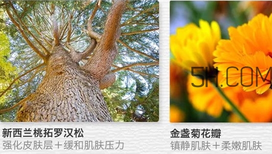 the saem得鮮眼霜適合什么年齡？得鮮眼霜怎么樣？