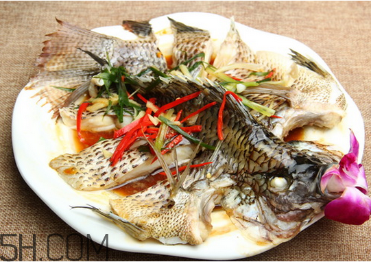 沒有魚刺的魚是哪種魚？如何挑選魚？