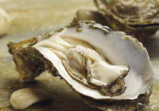 海蠣子是生蠔嗎？海蠣子和生蠔的區(qū)別