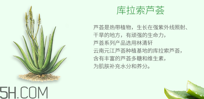 林清軒蘆薈面膜泥怎么樣？林清軒蘆薈面膜泥測評(píng)