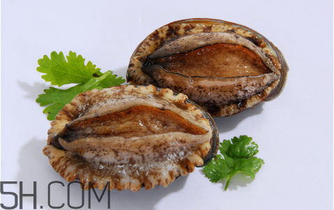 鮑魚吃了會(huì)上火嗎？鮑魚是發(fā)物嗎？