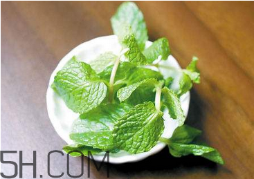 感冒可以喝酒嗎？薄荷治療感冒的方法
