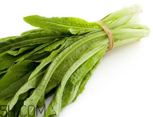 油麥菜怎么做好吃？油麥菜怎么種植
