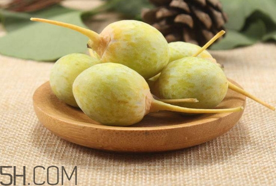 白果沒熟吃了會(huì)怎么樣？白果熟了是什么樣子的